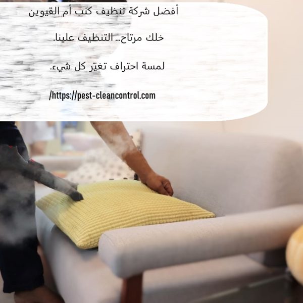 أفضل شركة تنظيف كنب أم القيوين