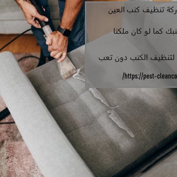 أفضل شركة تنظيف كنب العين
