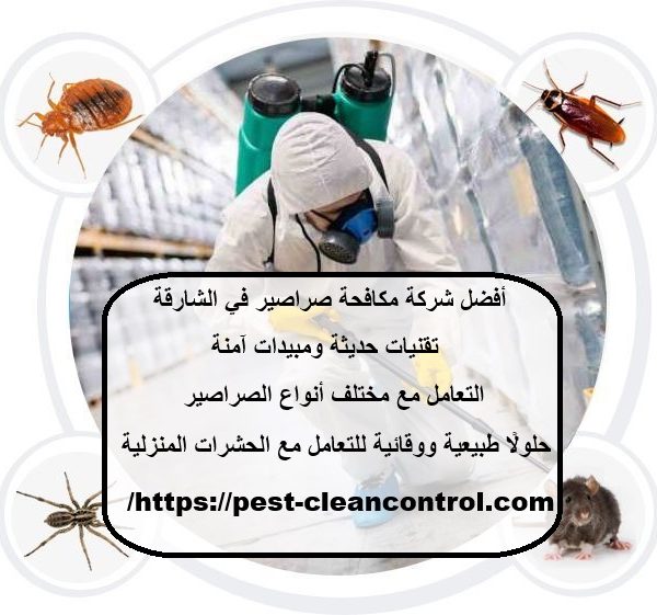 أفضل شركة مكافحة صراصير في الشارقة