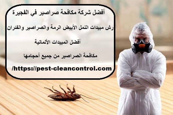 أفضل شركة مكافحة صراصير في الفجيرة