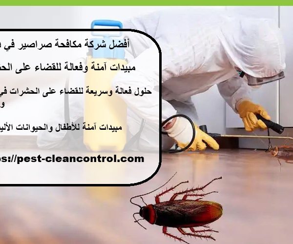 أفضل شركة مكافحة صراصير في دبي