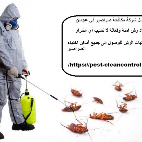 أفضل شركة مكافحة صراصير في عجمان
