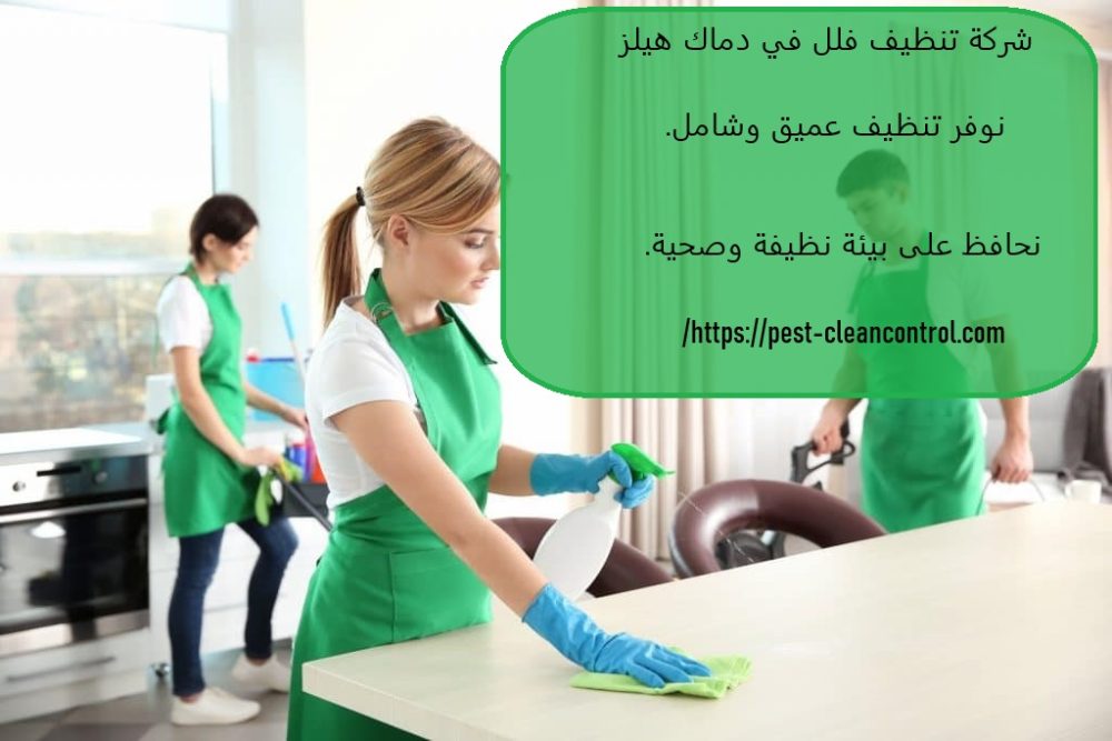 شركة تنظيف فلل في دماك هيلز