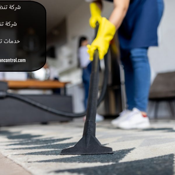 شركة تنظيف في الجميرا