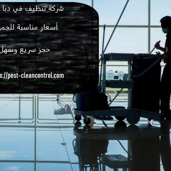 شركة تنظيف في دبا الحصن