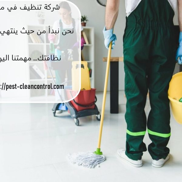 شركة تنظيف في مويلح