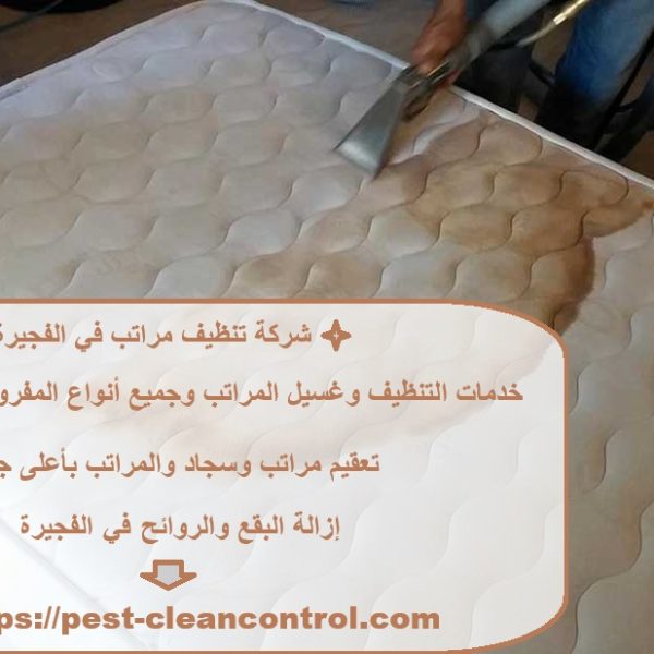 شركة تنظيف مراتب في الفجيرة