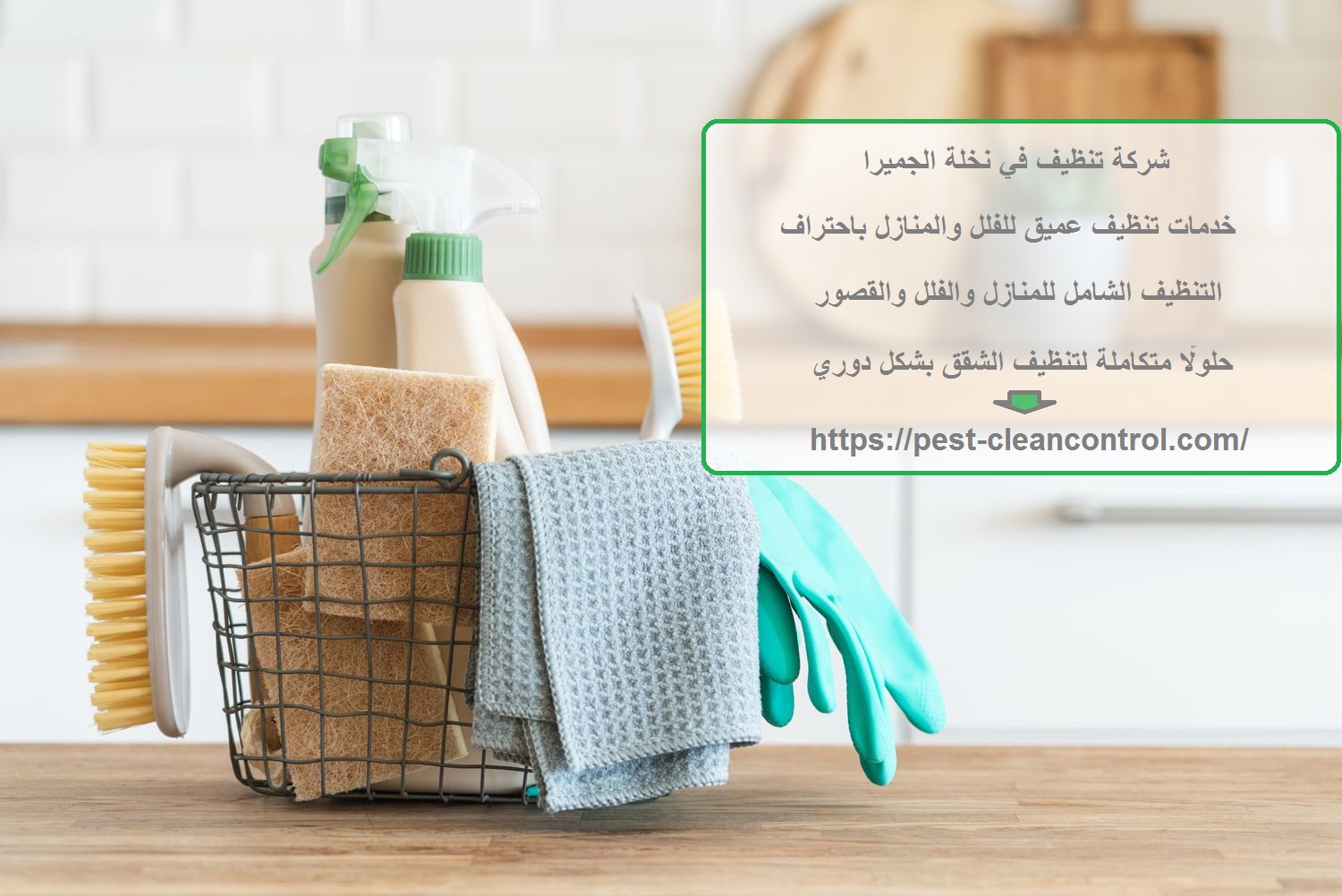 شركة تنظيف في نخلة الجميرا