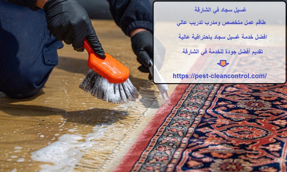 غسيل سجاد في الشارقة