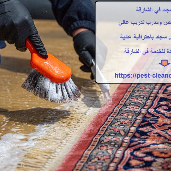 غسيل سجاد في الشارقة