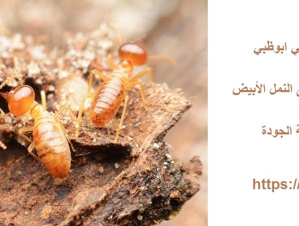 أفضل شركة مكافحة الرمة في ابوظبي