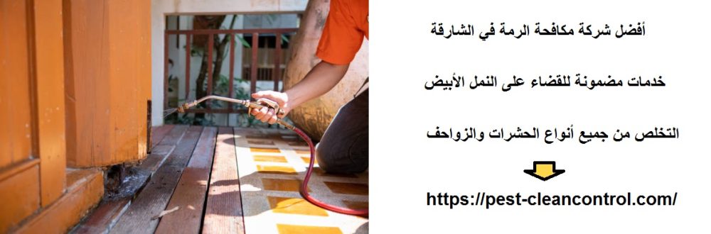 أفضل شركة مكافحة الرمة في الشارقة