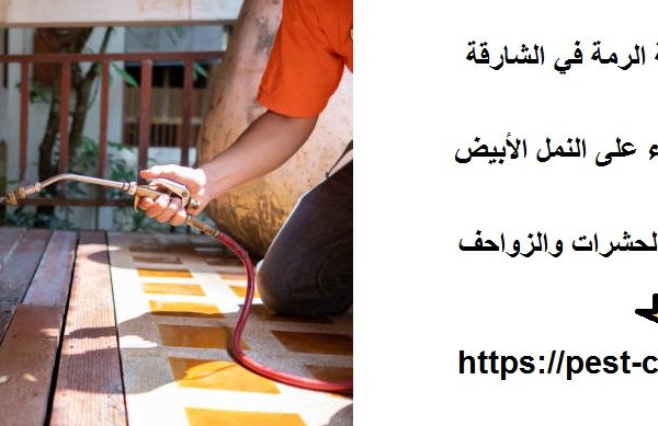 أفضل شركة مكافحة الرمة في الشارقة