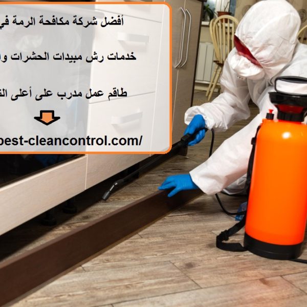 أفضل شركة مكافحة الرمة في العين