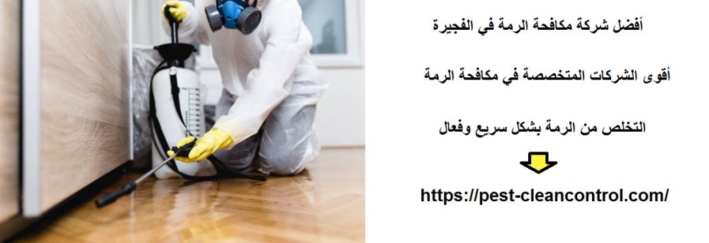أفضل شركة مكافحة الرمة في الفجيرة