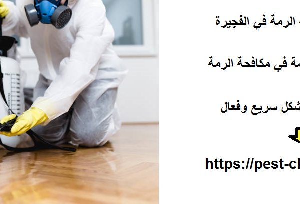 أفضل شركة مكافحة الرمة في الفجيرة