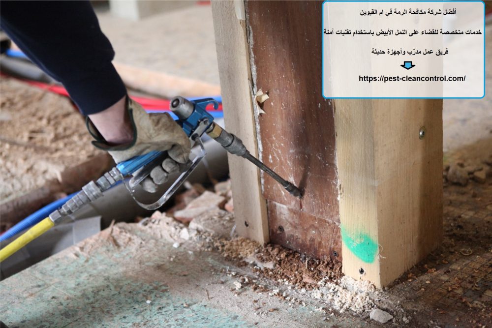 أفضل شركة مكافحة الرمة في ام القيوين