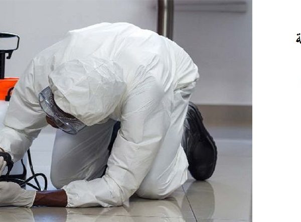 أفضل شركة مكافحة الرمة في راس الخيمة