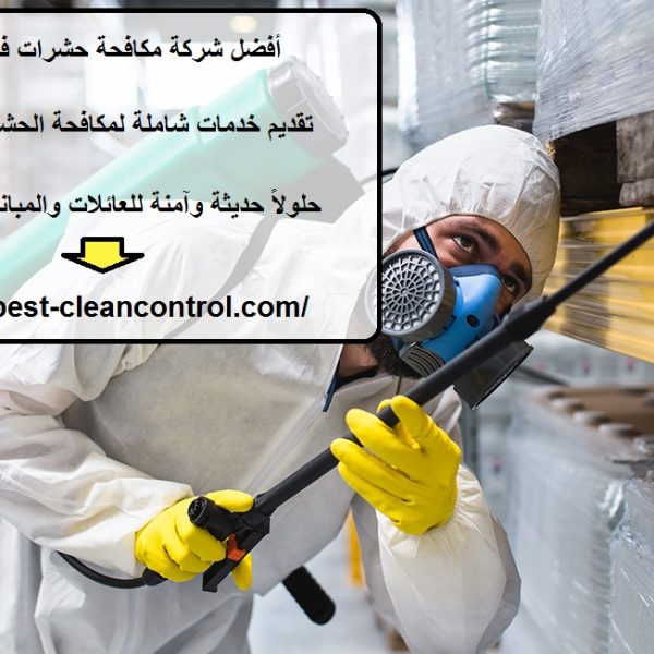 أفضل شركة مكافحة حشرات في ابوظبي