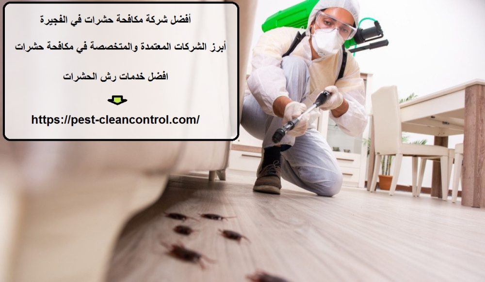 أفضل شركة مكافحة حشرات في الفجيرة