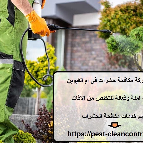 أفضل شركة مكافحة حشرات في ام القيوين