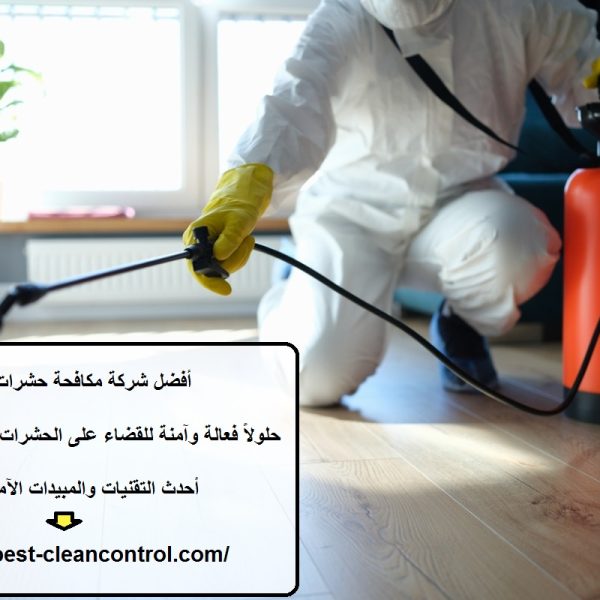 أفضل شركة مكافحة حشرات في دبي