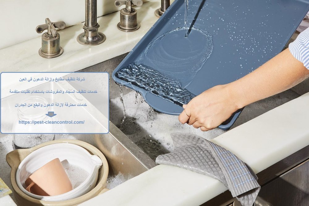 شركة تنظيف مطابخ وإزالة الدهون في العين