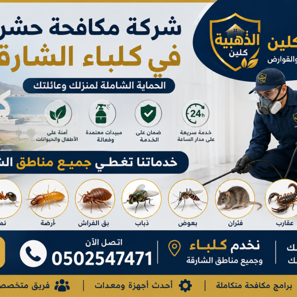 شركة مكافحة حشرات في كلباء الشارقة